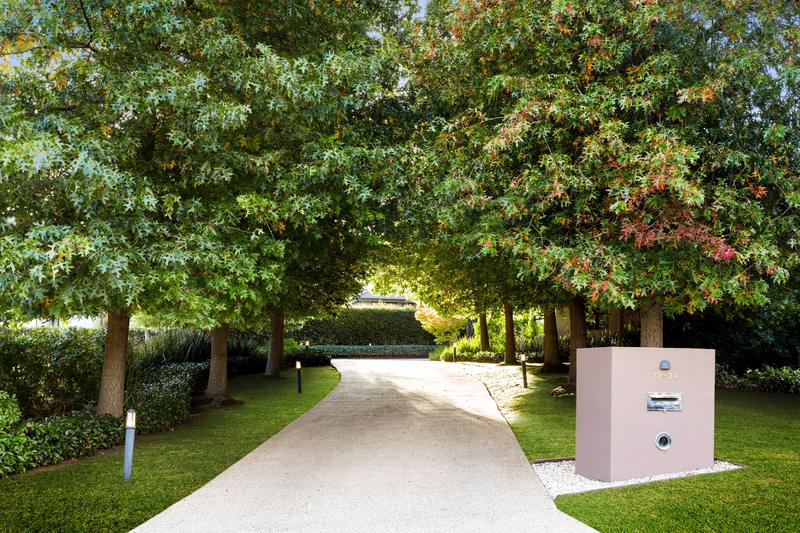 Tree-lined drive